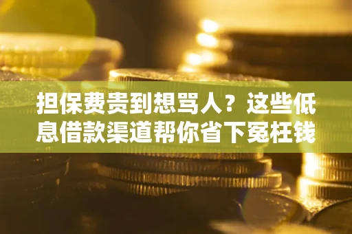 北京担保费贵到想骂人？这些低息借款渠道帮你省下冤枉钱